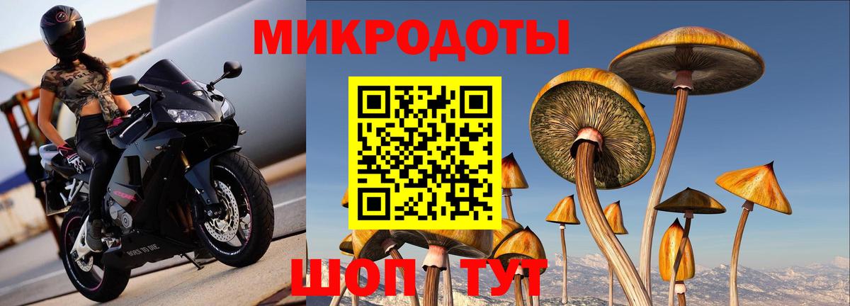 Сызрань  Псилоцибиновые грибы Psilocybine cubensis  Вход с VPN 