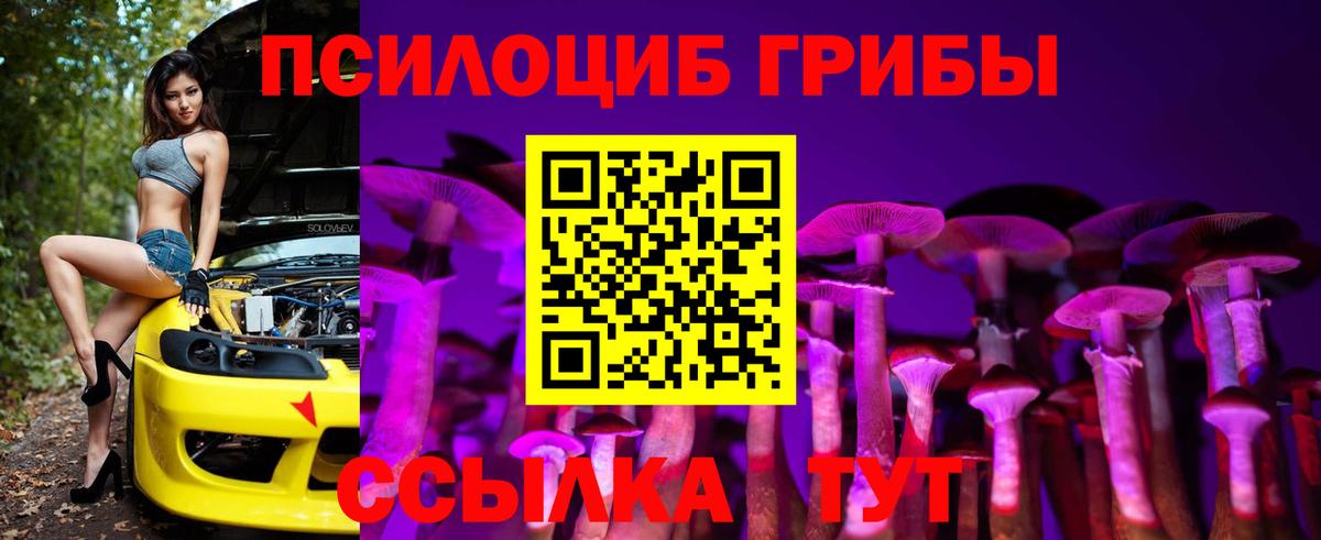 Псилоцибиновые грибы GOLDEN TEACHER Сызрань